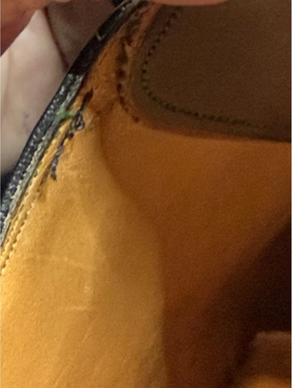 Vtg 1960s Florsheim Imperial 93605 Shell Cordovan Longwing 10.5 3E Green Lab